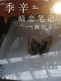 季辛——暗恋笔记