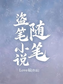 盗笔小说随笔