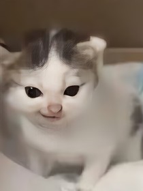 奴役人