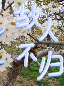 记录原创的小说片段