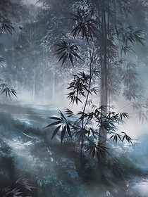 裳愿流曦