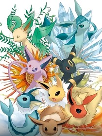 伊布家族之魔法石