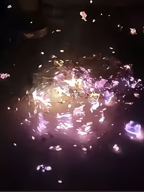 隨筆集（不喜勿噴）