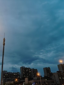 翎落归花语