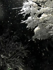 （山北）此生算共白头