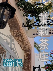 猫吻痕：茉莉花茶