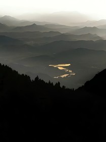 谋权道