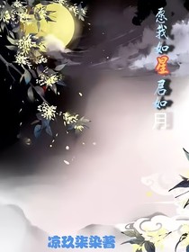 星月同辉——愿我如星君如月
