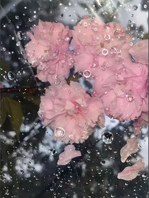 （景羊）舔狗实录