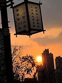 对他的暗恋就像蒲公英