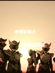 神兽金刚之不是我错