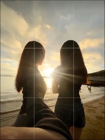 桔梗百合