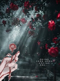 玫瑰里的微光