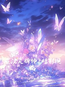 魔法灵牌师2暗影现临