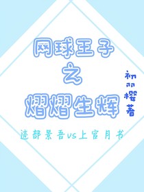 網(wǎng)王：熠熠生輝