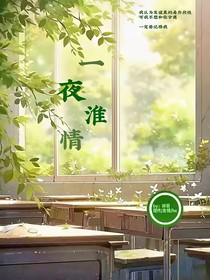 一夜淮情