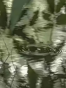 荒野大陆（完全改写）