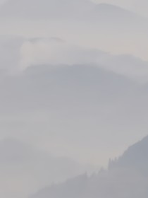 综影视暗香浮动