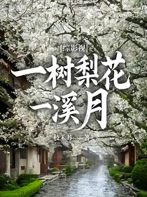 综影视：一树梨花一溪月