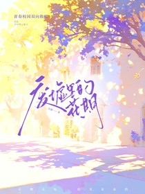 废墟里的花期