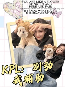 KPL：别动我辅助！