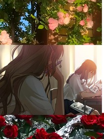 薔薇的愛意予于玫瑰
