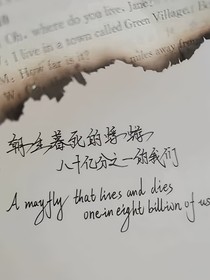 昭昭星野，人间忽晚