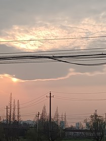 過(guò)來(lái)跪下