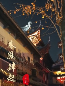 春风肆起