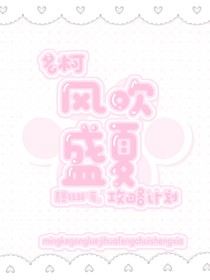 名柯攻略计划：风吹盛夏