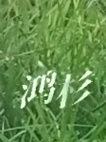 me的小练习