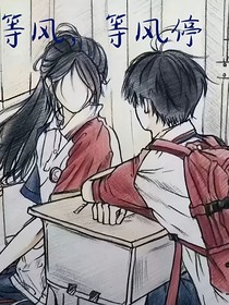 等风，等风停