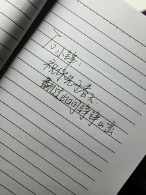 逐梦里寻她（回忆录）