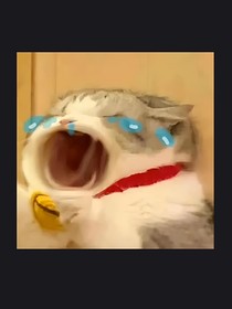碎碎意