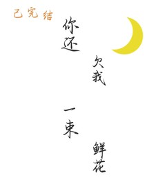 你欠我一束鲜花