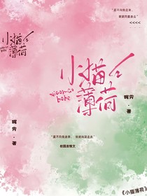小猫薄荷
