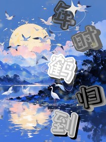 年時(shí)鶴歸到