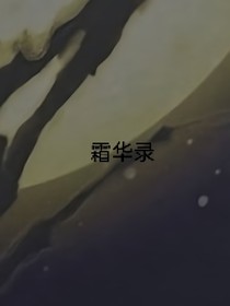 霜华录