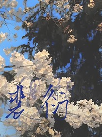 祈：白囍