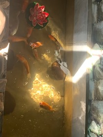 折翼：破碎的她