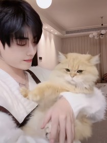 孙澈：晚归折鹤