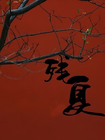 TNT：残夏雨鸣