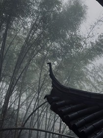 长生天下