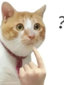 讨厌人生