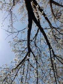 平行线时空