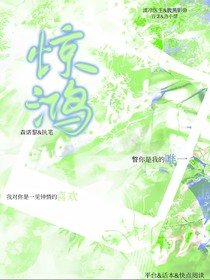 斗龍——驚鴻