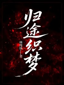归途织梦