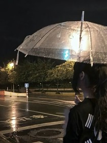 暮色中的鸢尾花