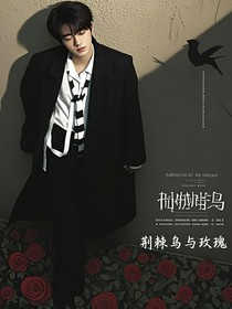 all轩：荆棘鸟与玫瑰