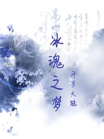 冰魂之梦